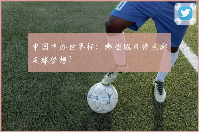 中国申办世界杯：哪些城市将点燃足球梦想？