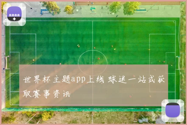 世界杯主题app上线 球迷一站式获取赛事资讯