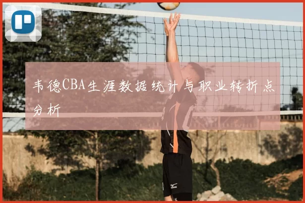 韦德CBA生涯数据统计与职业转折点分析