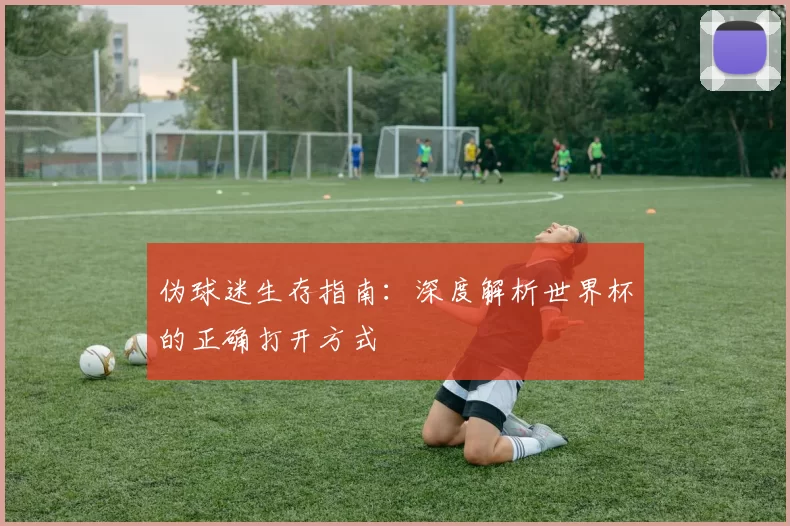 伪球迷生存指南：深度解析世界杯的正确打开方式