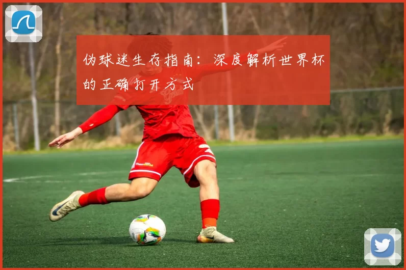 伪球迷生存指南：深度解析世界杯的正确打开方式