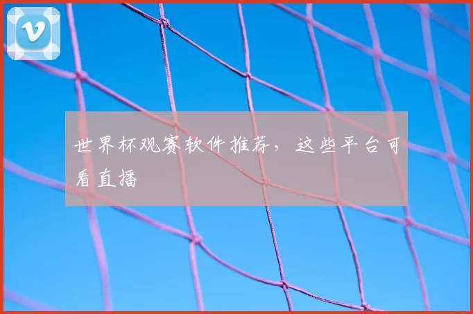 世界杯观赛软件推荐，这些平台可看直播
