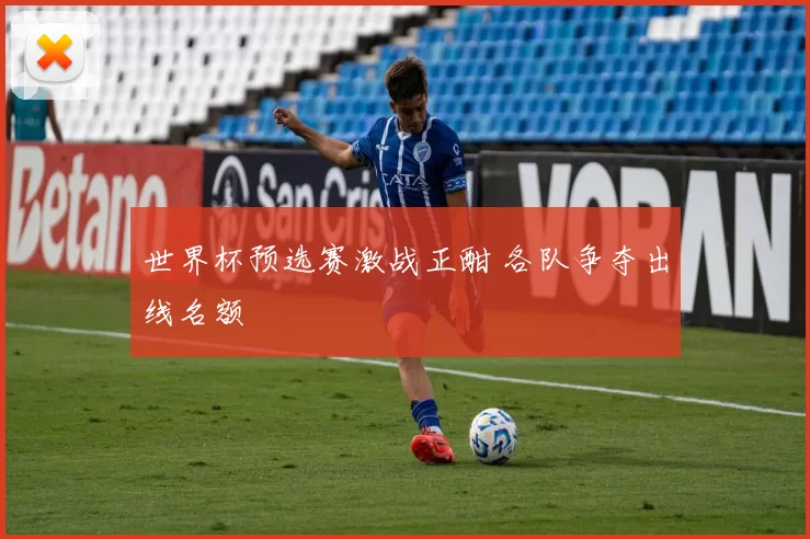 世界杯预选赛激战正酣 各队争夺出线名额