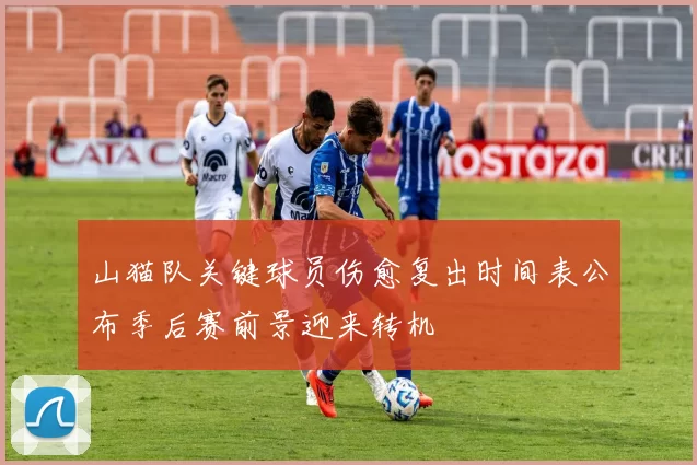 山猫队关键球员伤愈复出时间表公布季后赛前景迎来转机