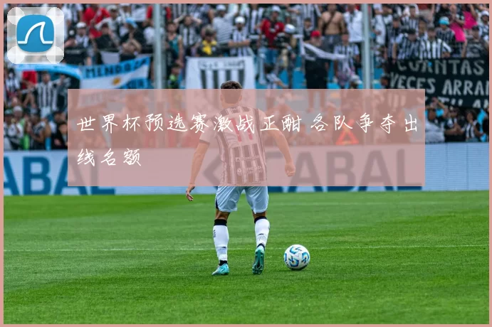 世界杯预选赛激战正酣 各队争夺出线名额