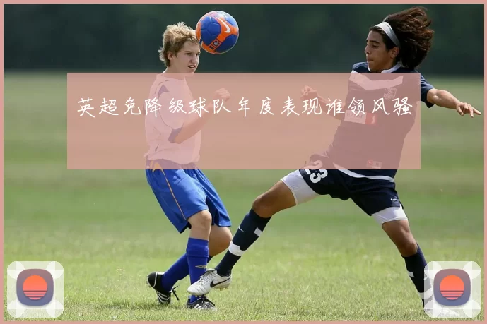 英超免降级球队年度表现谁领风骚