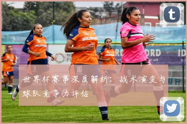 世界杯赛事深度解析：战术演变与球队竞争力评估