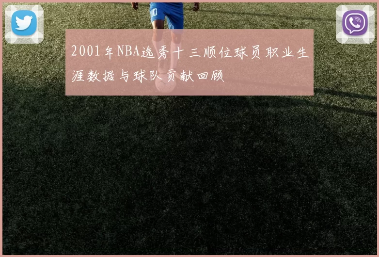 2001年NBA选秀十三顺位球员职业生涯数据与球队贡献回顾