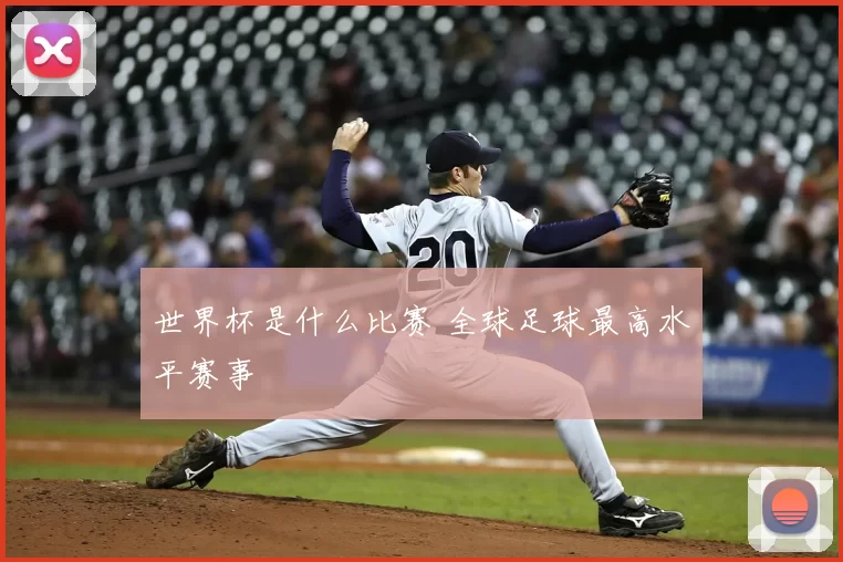 世界杯是什么比赛 全球足球最高水平赛事
