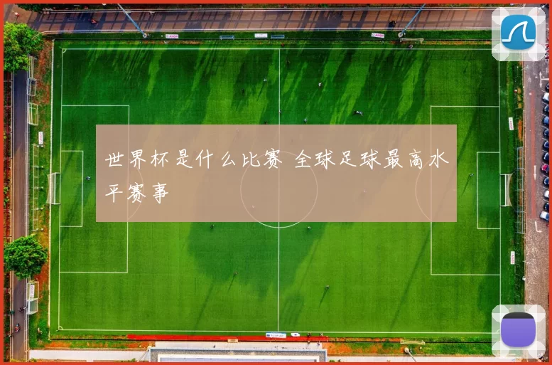 世界杯是什么比赛 全球足球最高水平赛事
