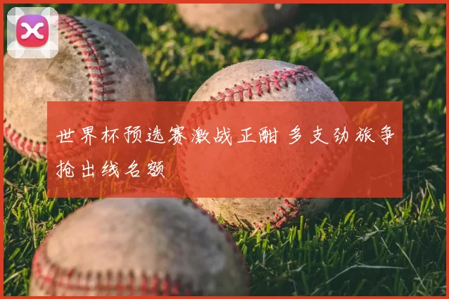 世界杯预选赛激战正酣 多支劲旅争抢出线名额