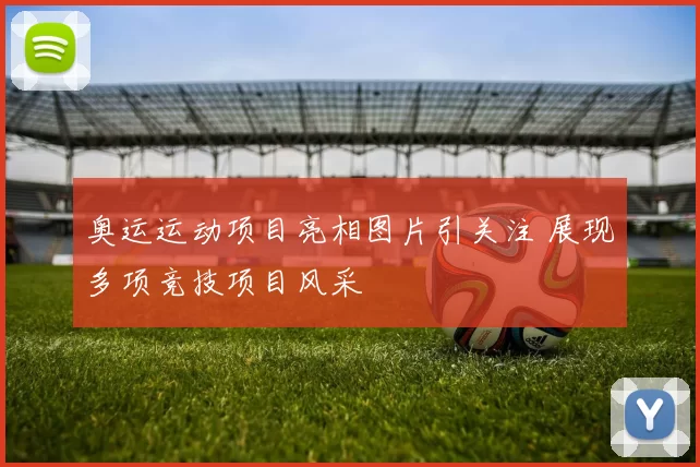 奥运运动项目亮相图片引关注 展现多项竞技项目风采