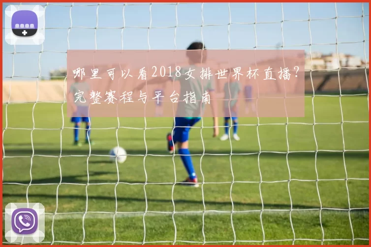 哪里可以看2018女排世界杯直播？完整赛程与平台指南