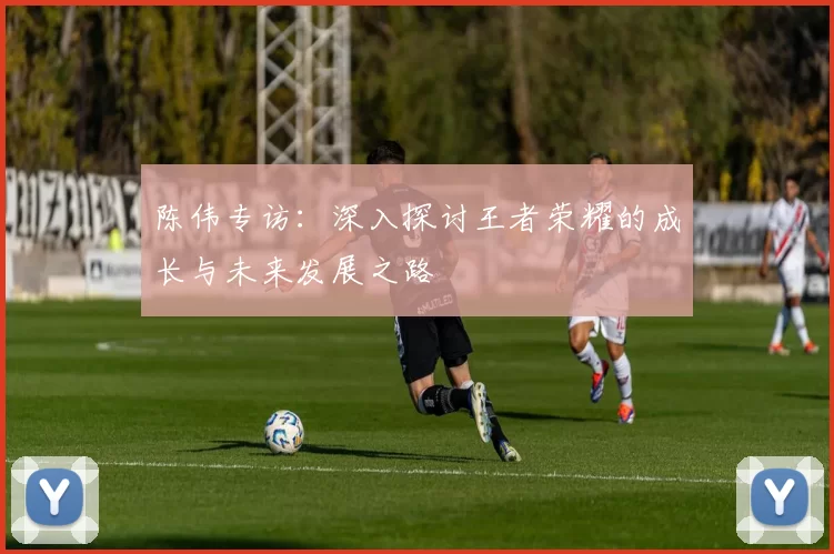 陈伟专访：深入探讨王者荣耀的成长与未来发展之路